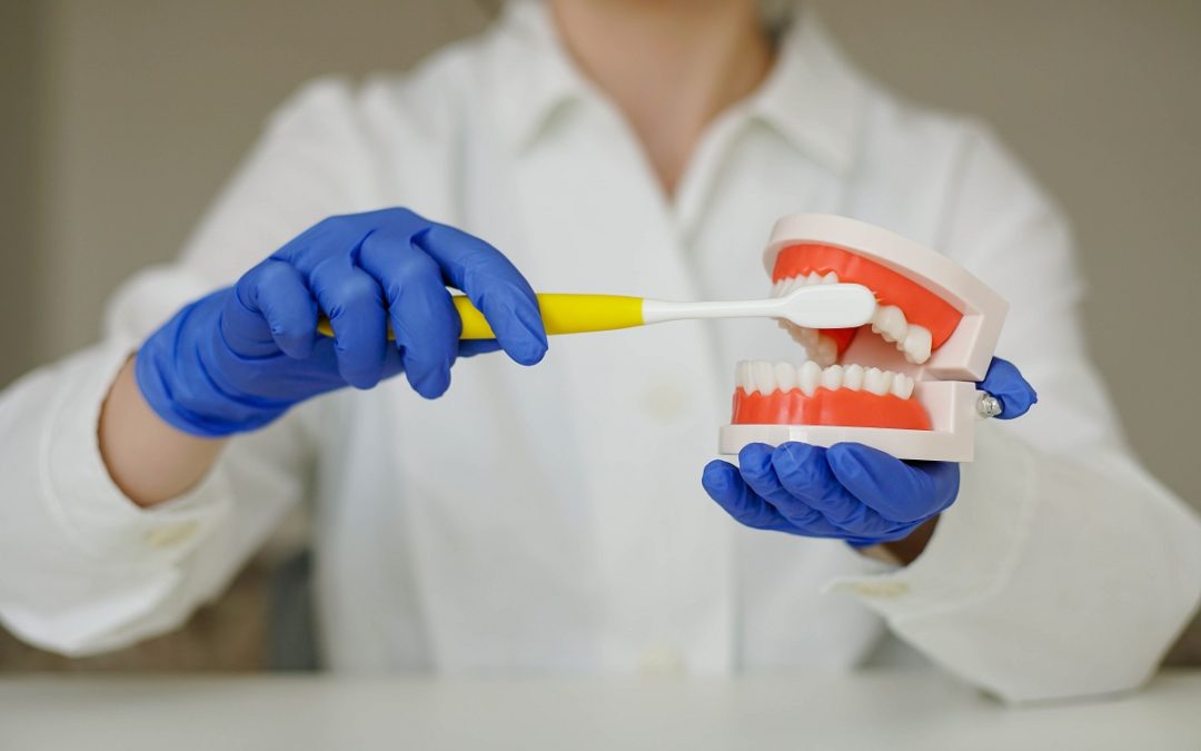 The Bear Necessities of Dental Care: Easy Habits for a Brighter Smile